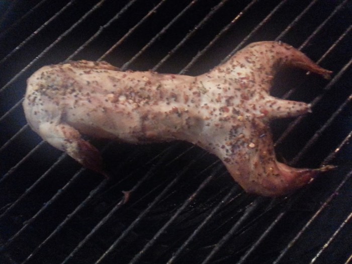 How to cook squirrel southern style