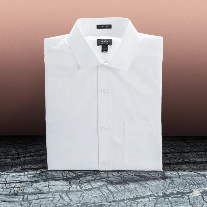 Amazon mens white dress shirt